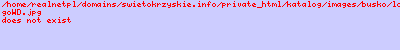 ,noclegi,kwatery,pokoje go�cinne,pokoje z �azienkami,
busko,willa dorotka,willadorotka,