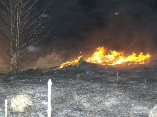 pacanow_pozar03.jpg
