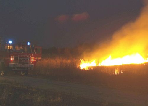 pacanow_pozar06.jpg