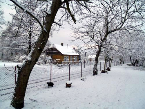 wiosna001.jpg