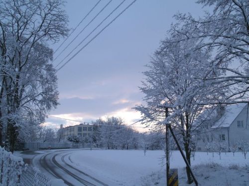 wiosna003.jpg