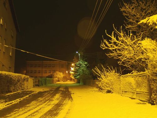 wiosna004.jpg