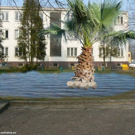 wloszczowa_zarty1.jpg