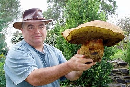 grzyb_gigant4.jpg