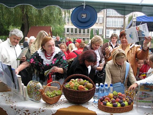 solec_tvp5.jpg