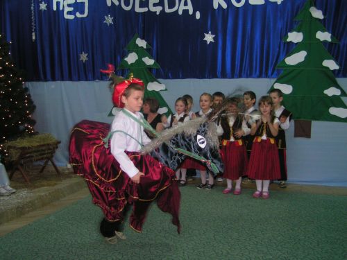 jaselka04a.jpg