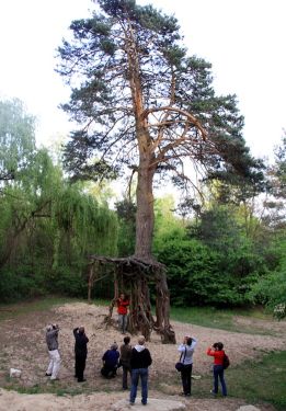 Dziennikarskie_study_tour_01.jpg