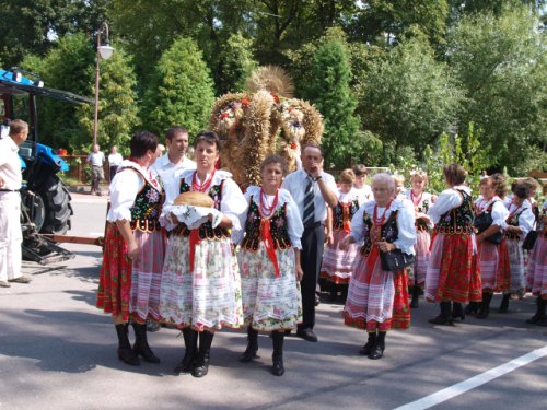 wieniec_kikow002.jpg