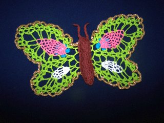 motyl.jpg