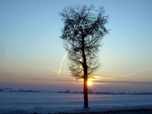 zima012.jpg