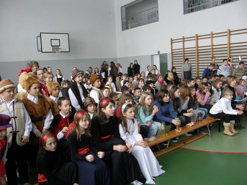 jaselka_1.jpg