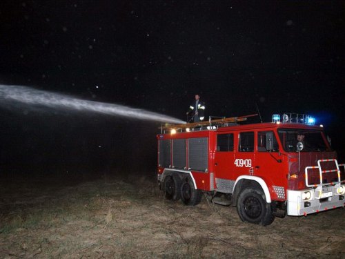 susz003.jpg