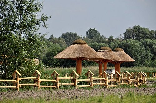 radzanow005.jpg