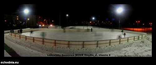 biale_orliki.jpeg