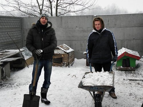 przytulisko4.jpg