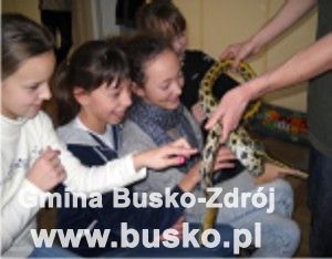 busko_egzotycznie01.jpg
