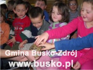 busko_egzotycznie02_1.jpg