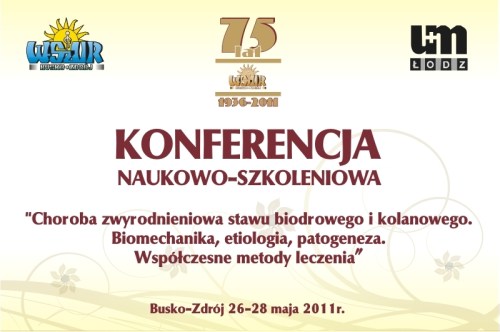 konferencja_wszur001.JPG