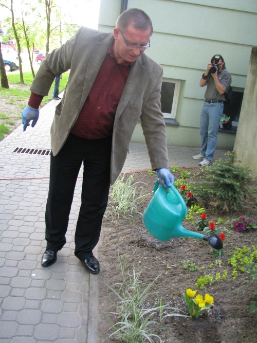 magnoliowy_dzien_wiosny002.jpg