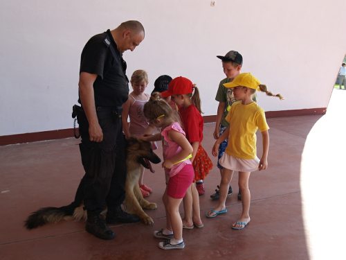 staszow_festyn_polaniec.jpg