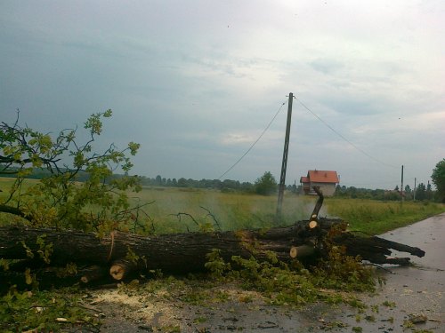 burza_pulanki007.jpg
