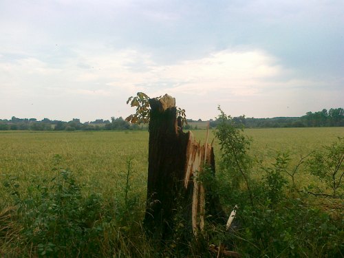 burza_pulanki008.jpg