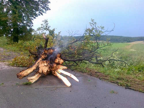 burza_pulanki009.jpg