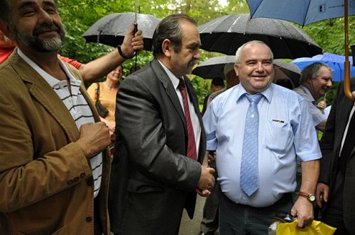 drzewko_imosa005.jpg