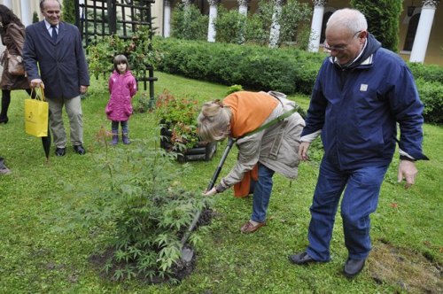 kuzniak_drzewko010.jpg