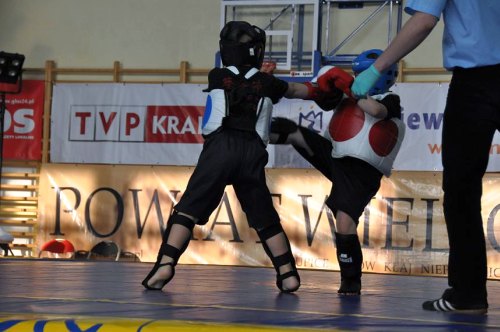 mistrzostwa_wushu03.jpg