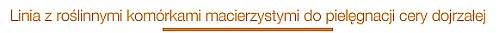 gabinet_kosmetyczny_klopatra003.jpg