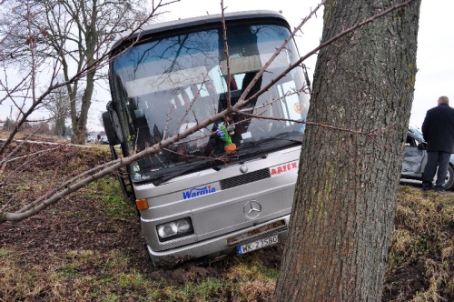 szczaworyz002.jpg
