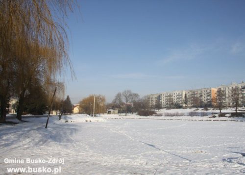 staw_niemiecki.jpg