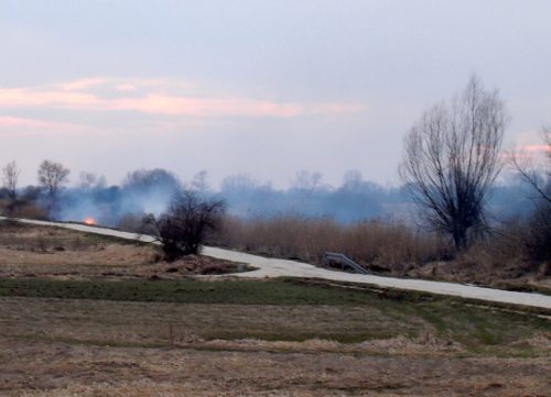 pozary_busko003.jpg