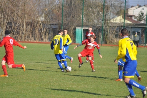 piast_samson001.jpg