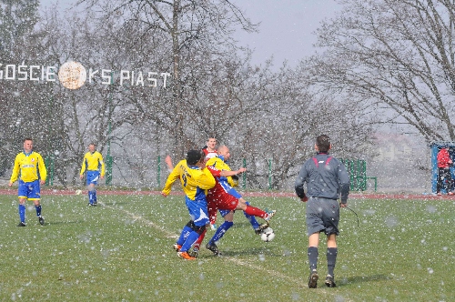 piast_samson005.jpg
