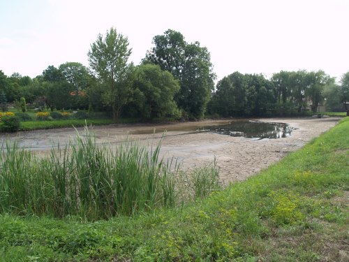 staw_stawowa_02.jpg