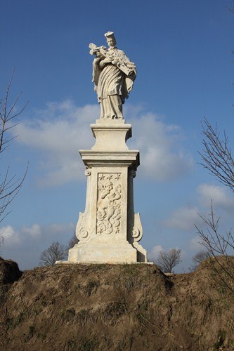 mlodzawy_duze_pinczow.jpg