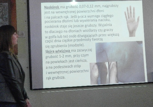 hak_pinczow01.jpg