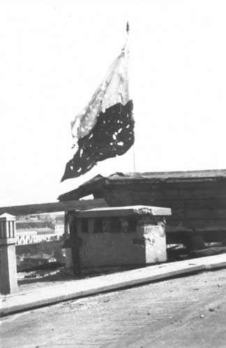 flaga1.jpg