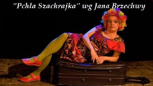 pchla_szachrajka1.jpg
