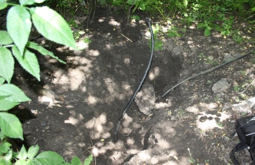 skradizony_kabel_kazimnierza.jpg