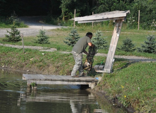 ryby006.jpg
