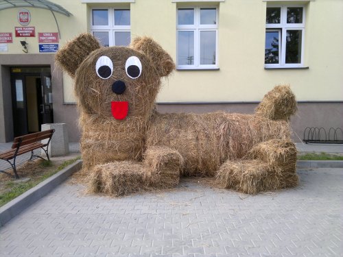 szaniec_dozynki.jpg