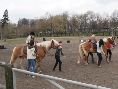 bronina_sport005.jpg