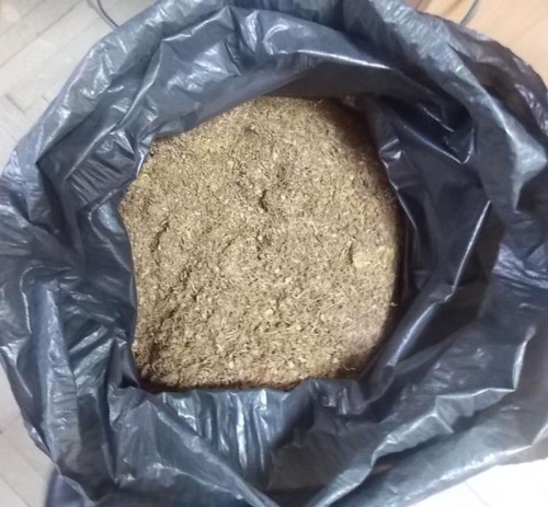 policja_kazimierza1_1.jpg