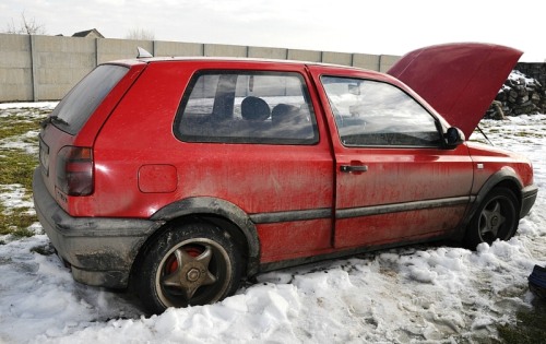 dziupla_kielce3.jpg