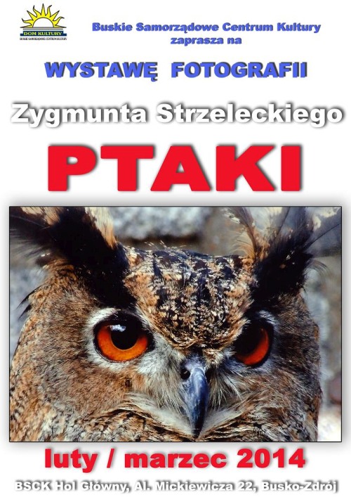 ptaki_wyst.jpg
