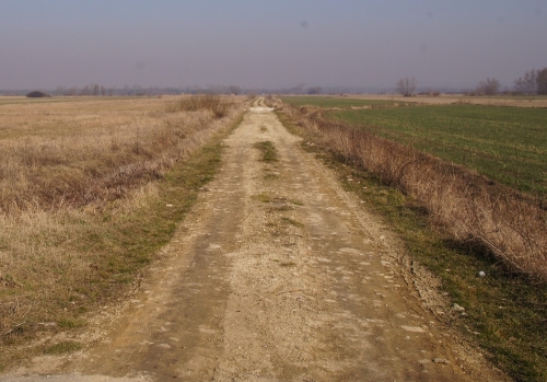 droga_polna.jpg