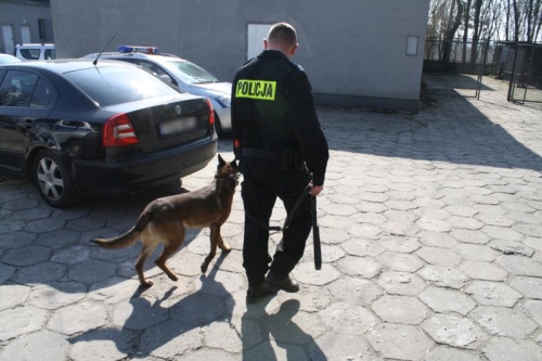 policja_z_psem.jpg